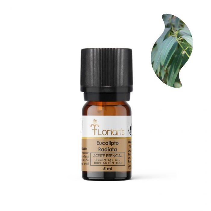 Aceite Esencial de Eucalipto Radiata