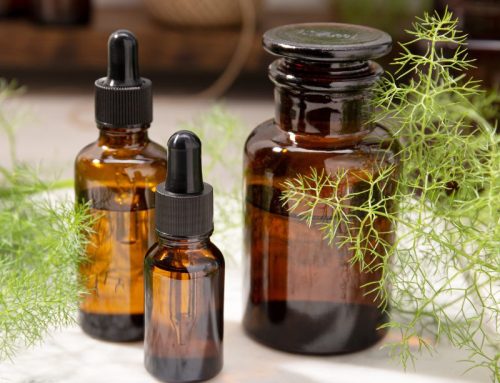 Hinojo (Foeniculum vulgare): claridad, digestión y abrazo