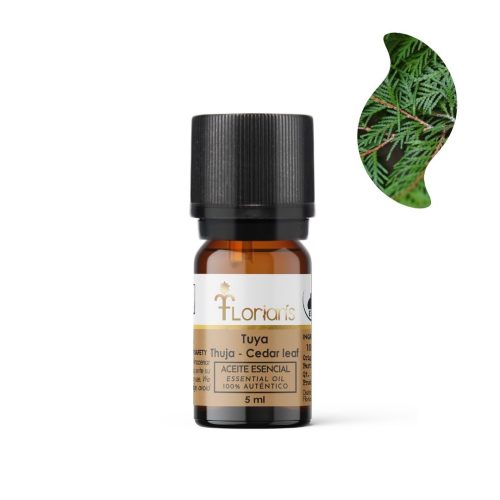 Aceite esencial de Tuya 5 ml