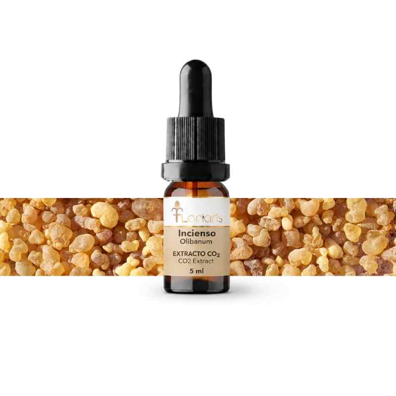 Extracto CO₂ de Incienso (Olibano) 5 ml
